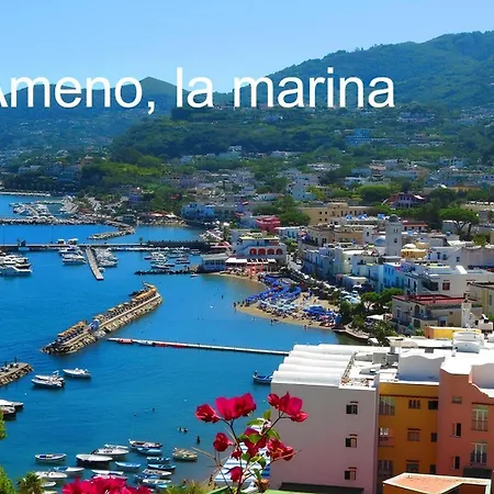 Petite Casa Caterina Apartment Ischia